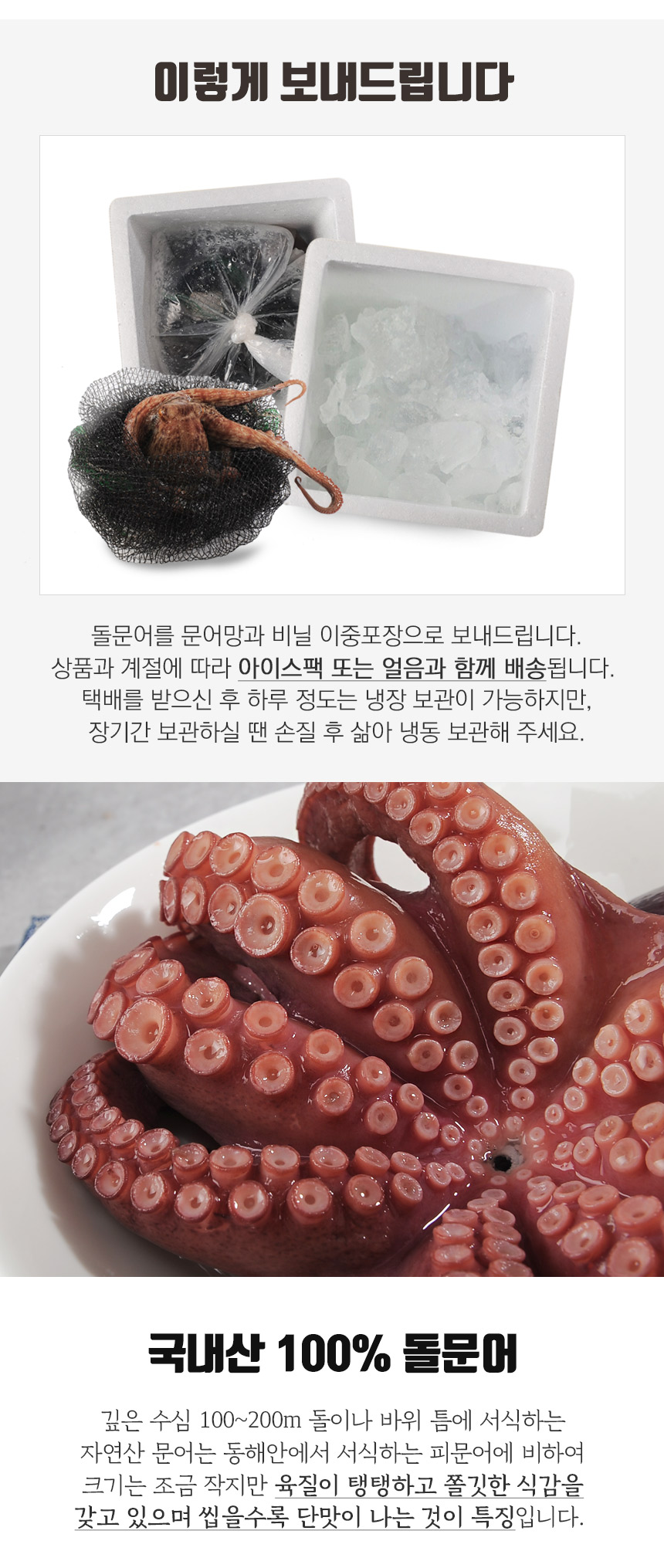 문어 남해안 자연산 돌문어 1kg 大 생물 (2-3마리) - 무료배송