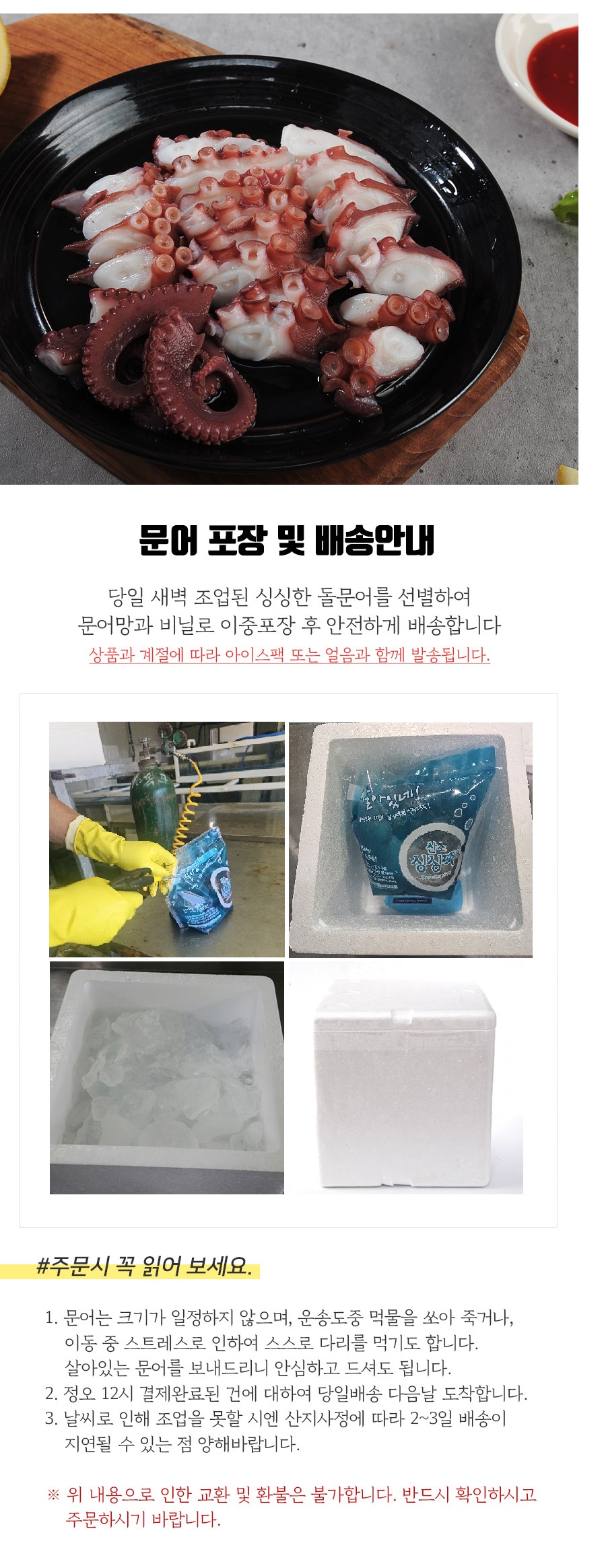 문어 남해안 자연산 돌문어 1kg 大 생물 (2-3마리) - 무료배송