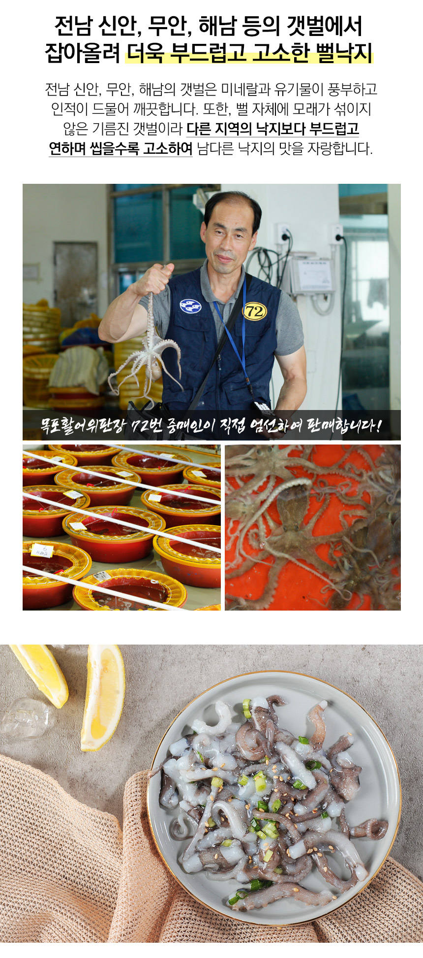 살아있는 목포뻘낙지 小 (60~80g) 5마리 - 무료배송