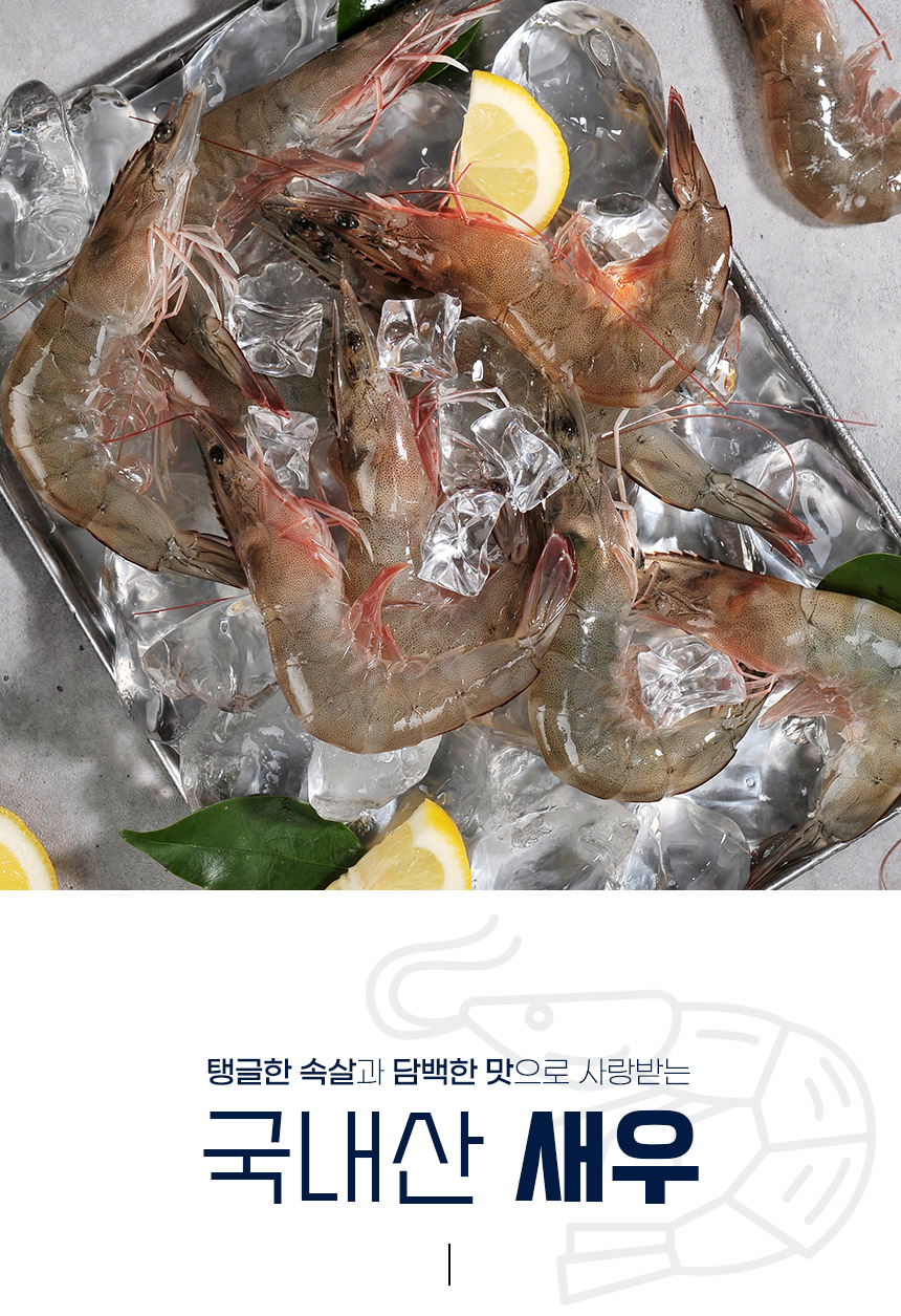 흰다리 급냉새우 1kg 특大 (28~32마리) - 무료배송
