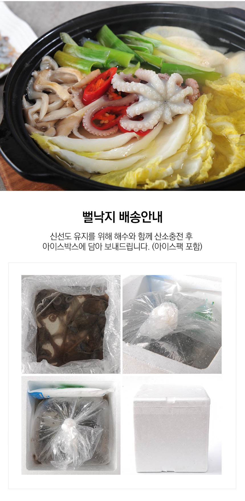 살아있는 목포뻘낙지 小 (60~80g) 5마리 - 무료배송