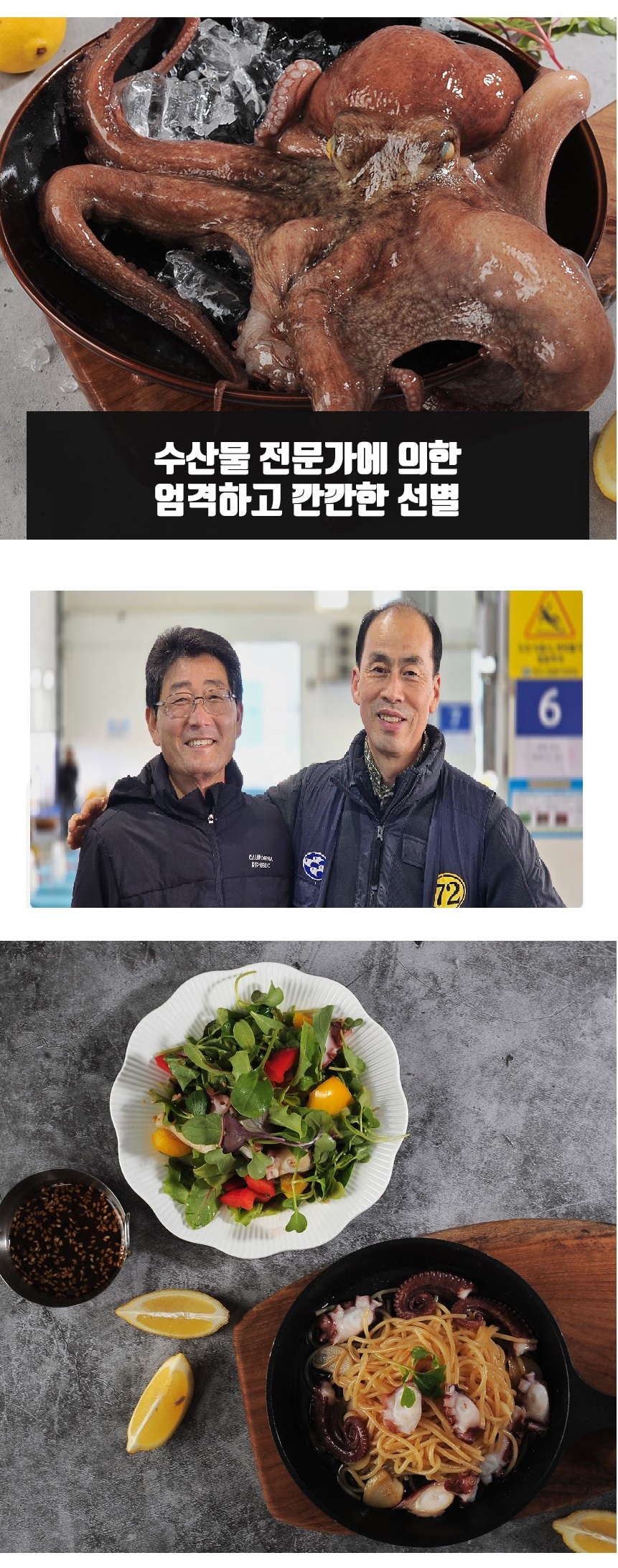 문어 남해안 자연산 돌문어 1kg 大 생물 (2-3마리) - 무료배송