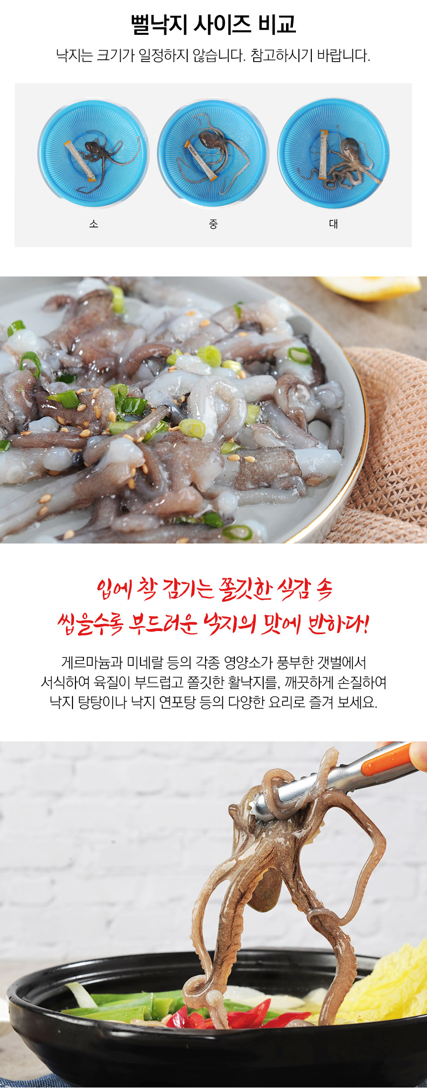 살아있는 목포뻘낙지 中 (100~150g) 5마리 - 무료배송