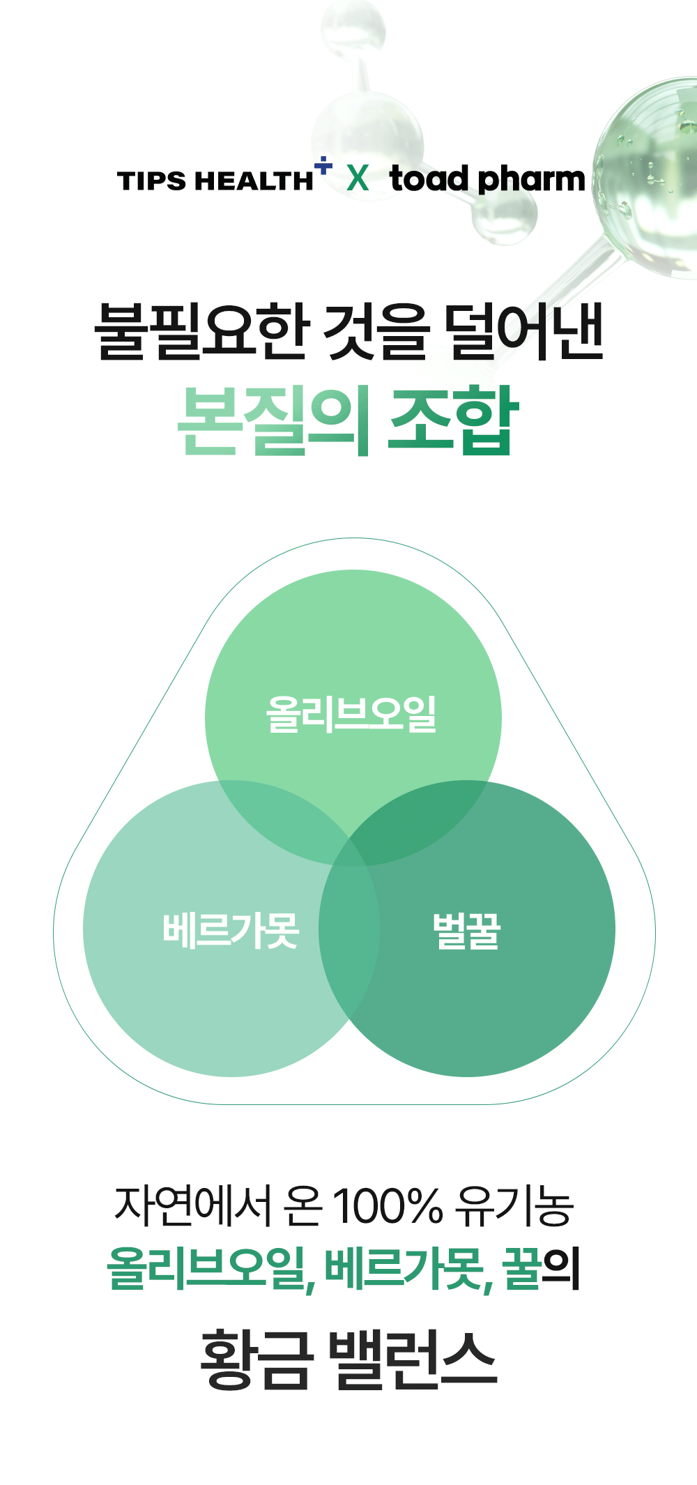 유기농 올베샷