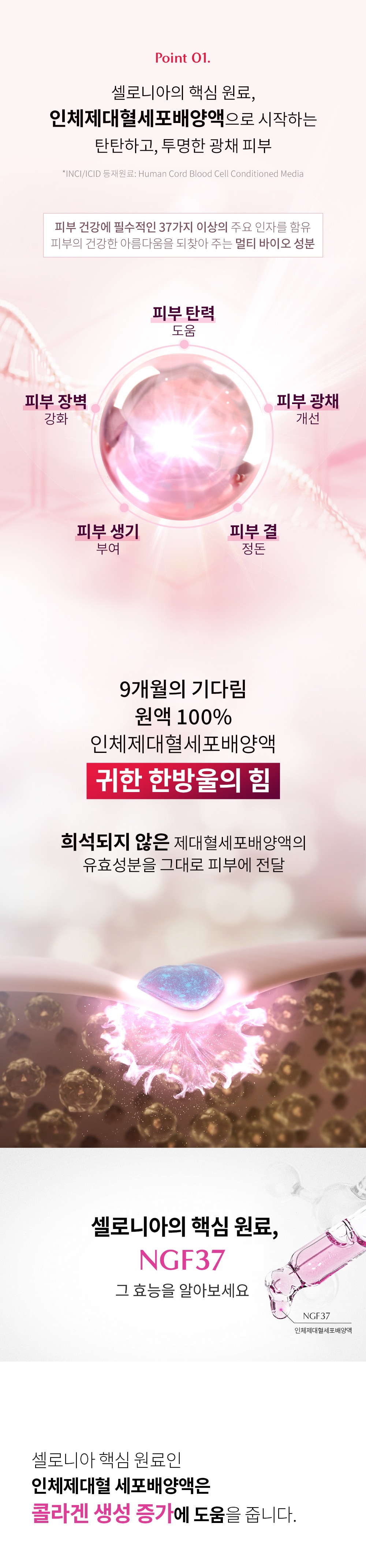 셀로니아 스킨부스터 & 헤어부스터
