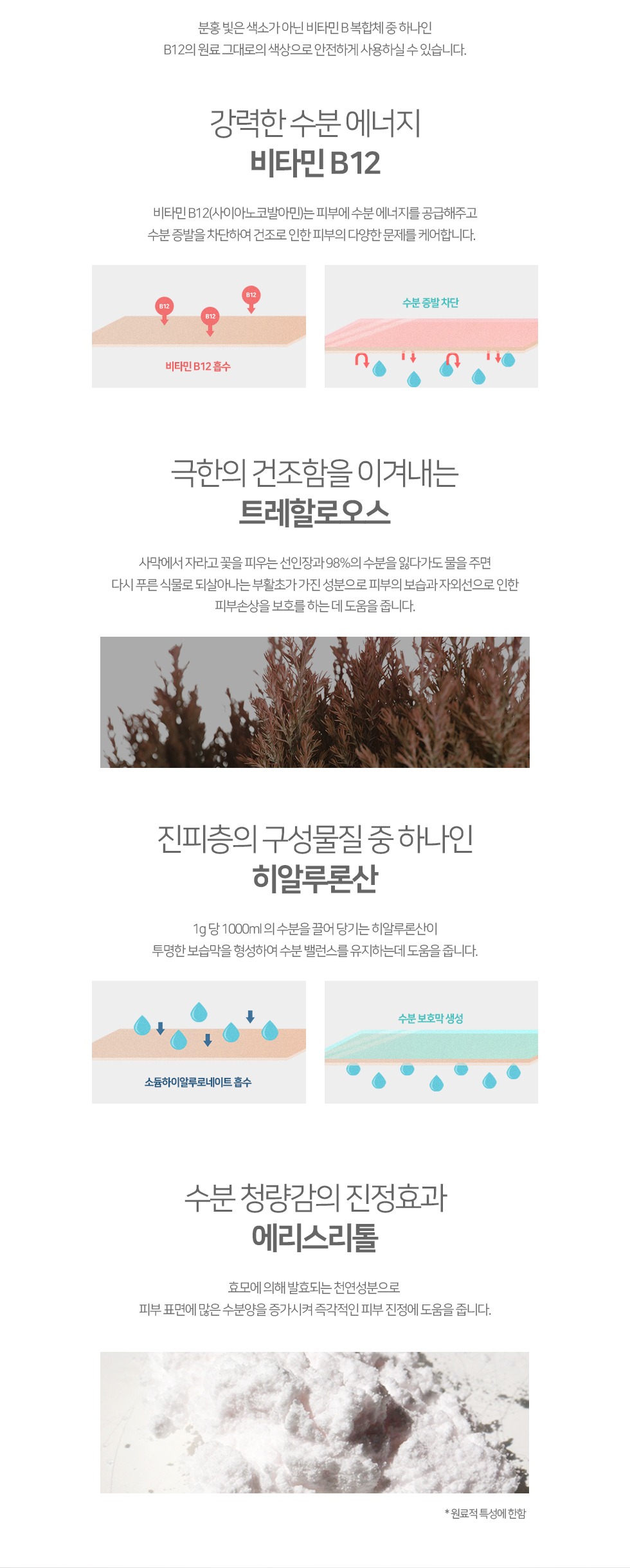 롸둥이들필수템 "꽁꽁마스크팩🧊&꽁꽁팩❄"