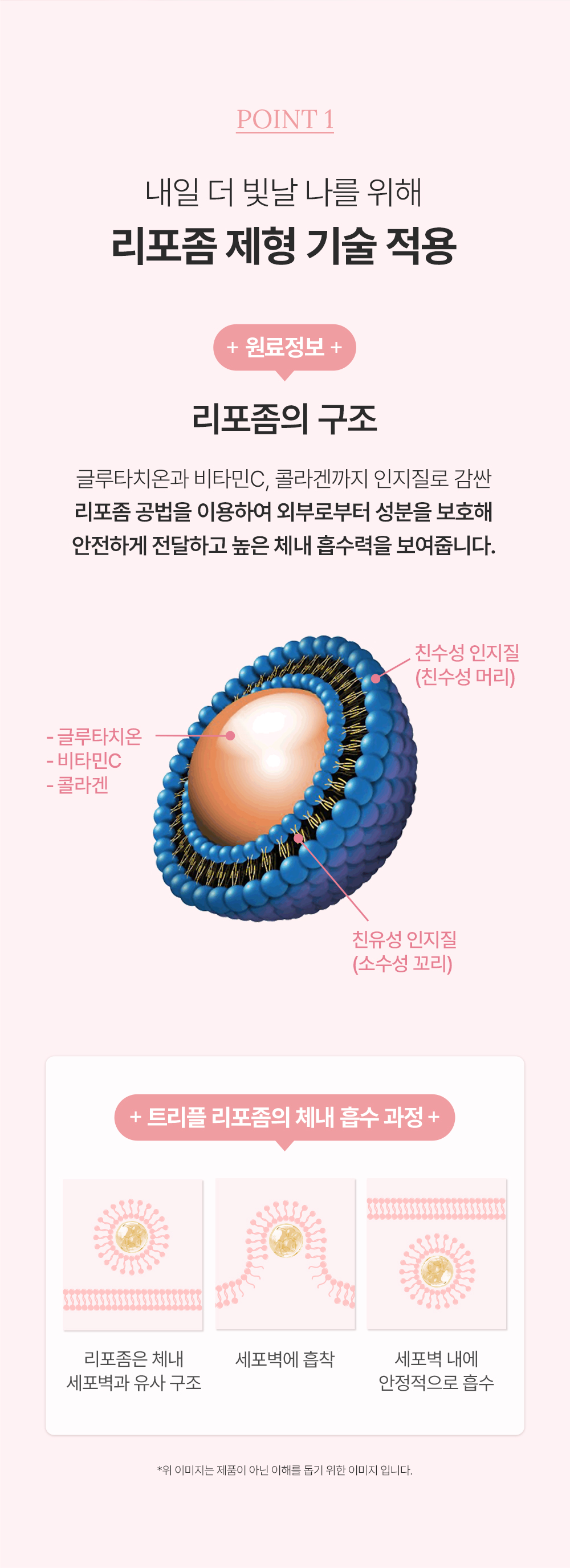c9f0f895fb98ab9159f51fd0297e236d_134004.jpg 데일리방어템✨패커퓨&리턴&널리효소&리본유산균&클린업&미모글루타치온