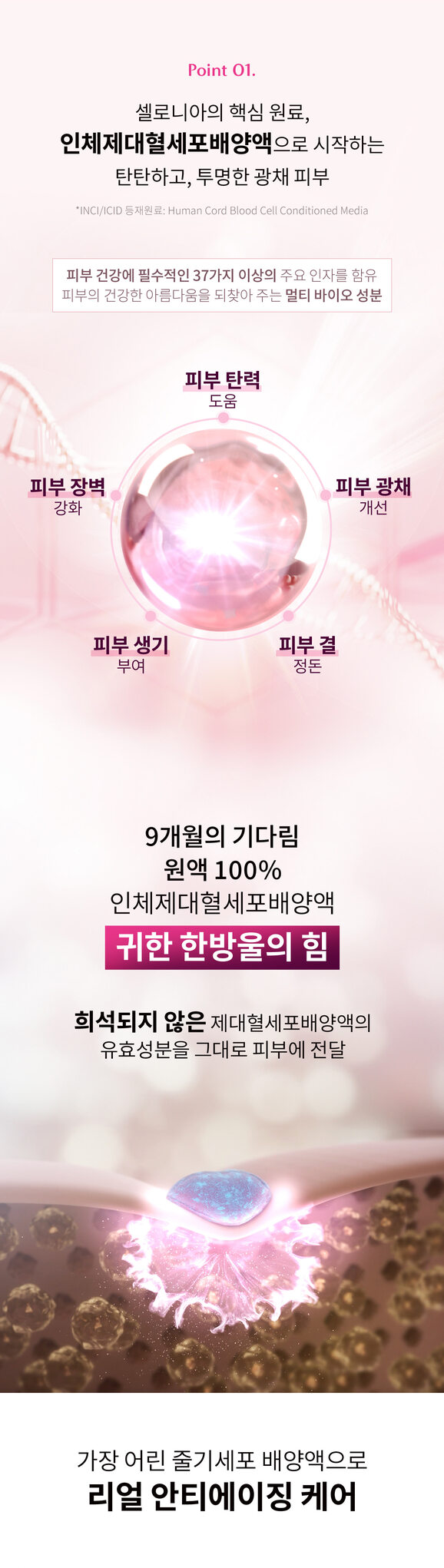 셀로니아 스킨부스터 & 헤어부스터