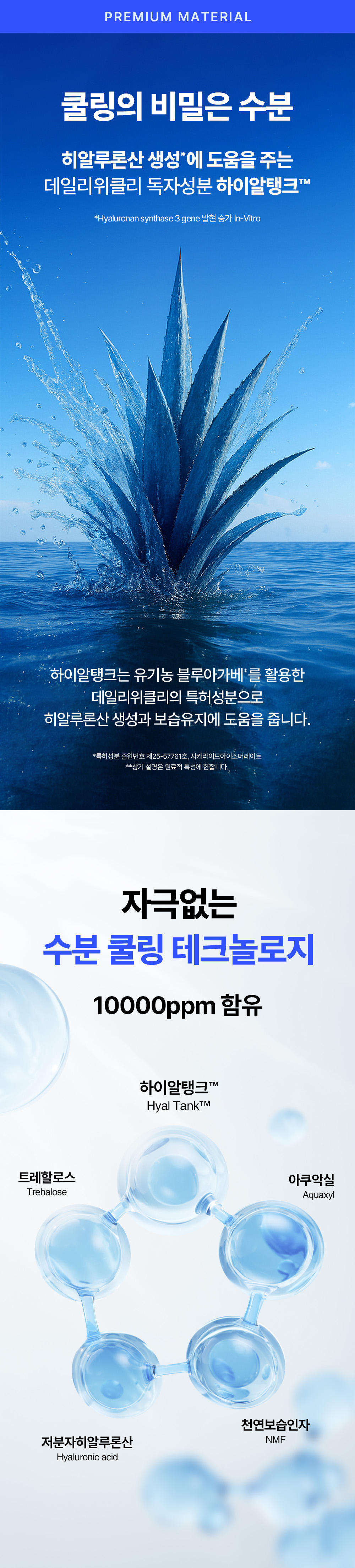 NEW 데일리위클리 시바팩