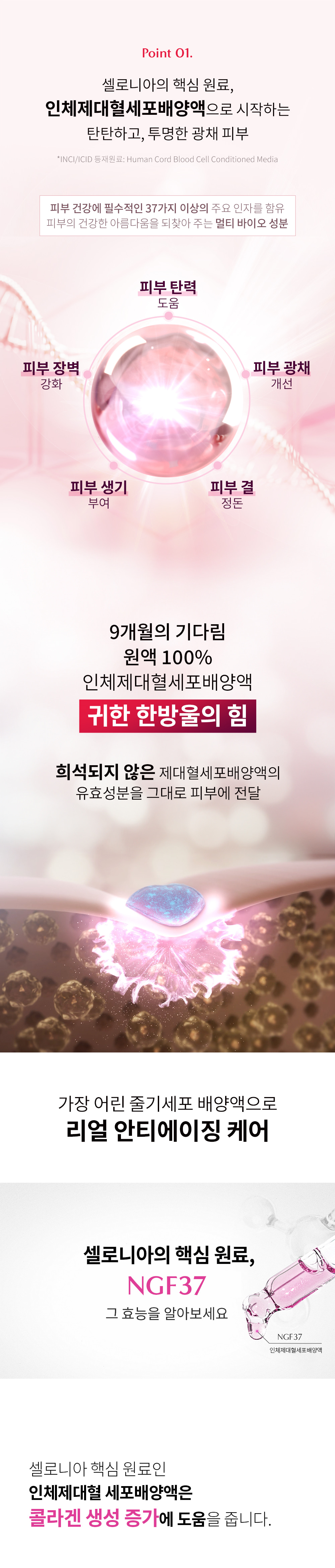 셀로니아 스킨부스터 & 헤어부스터