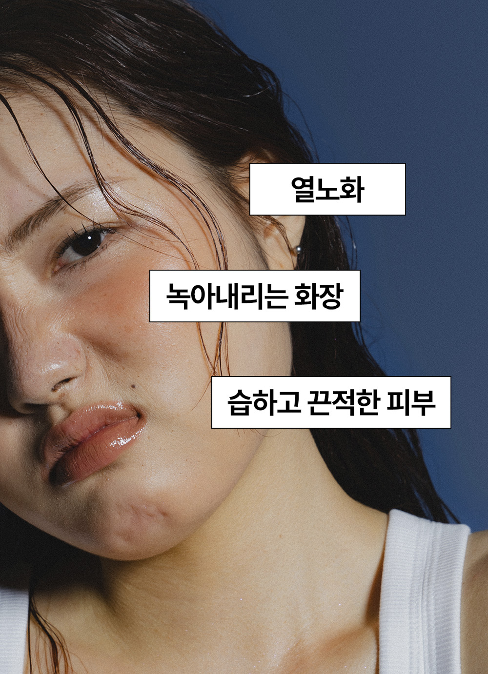 NEW 데일리위클리 시바팩