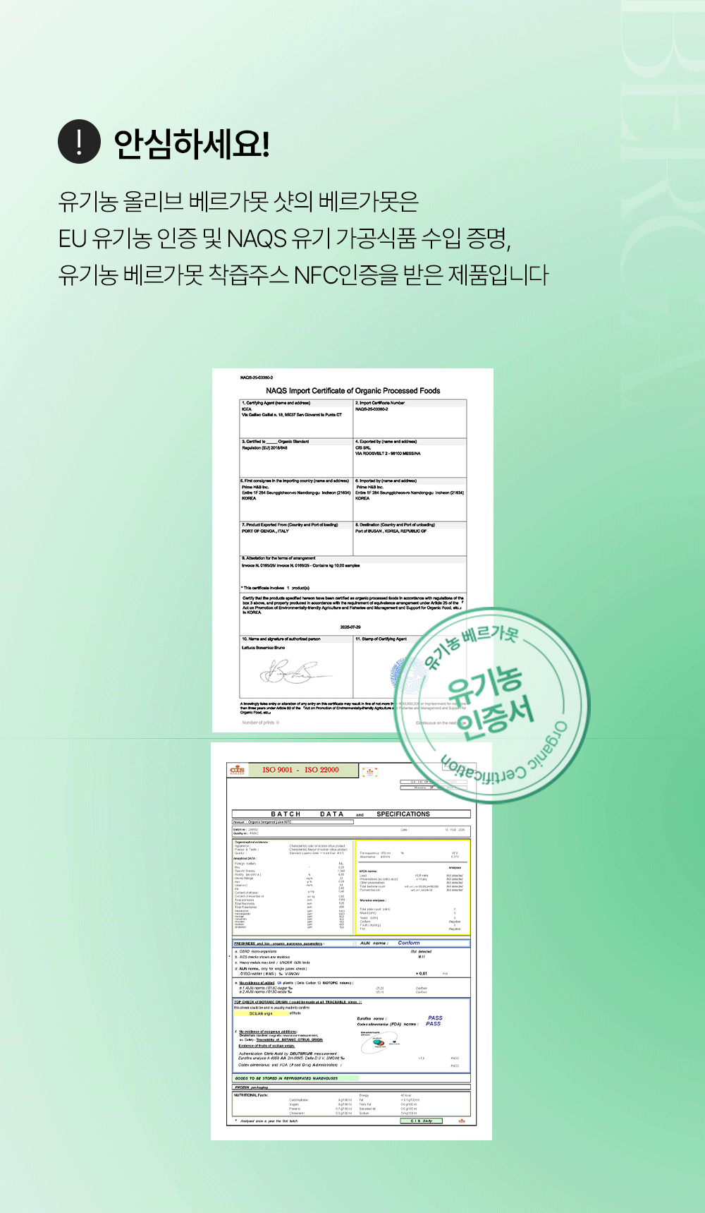 유기농 올베샷