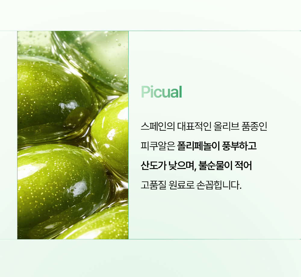 유기농 올베샷