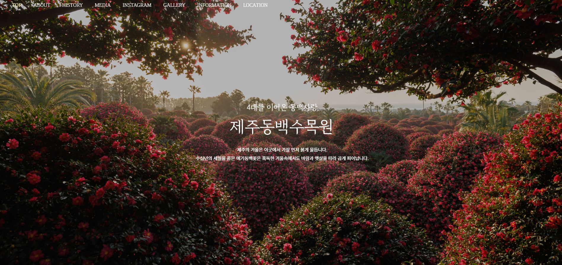 제주 동백 수목원