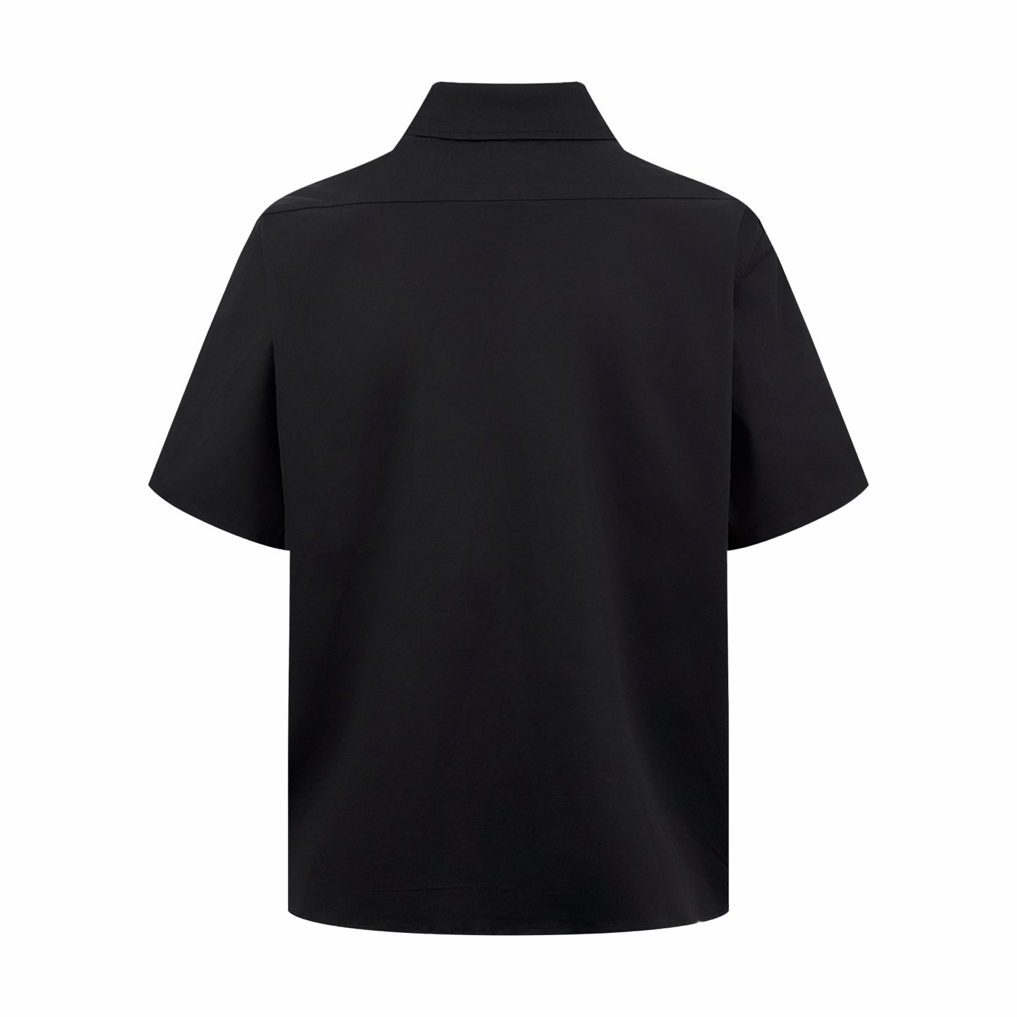 53ecc9aed464c.jpg