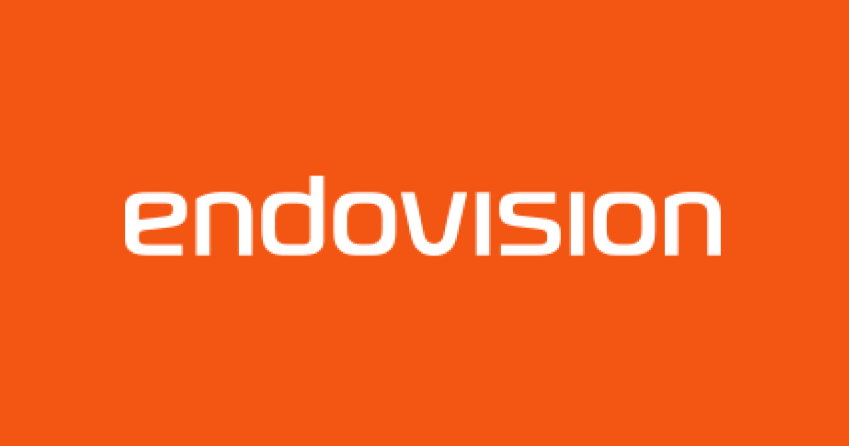 엔도비전 _ Endovision