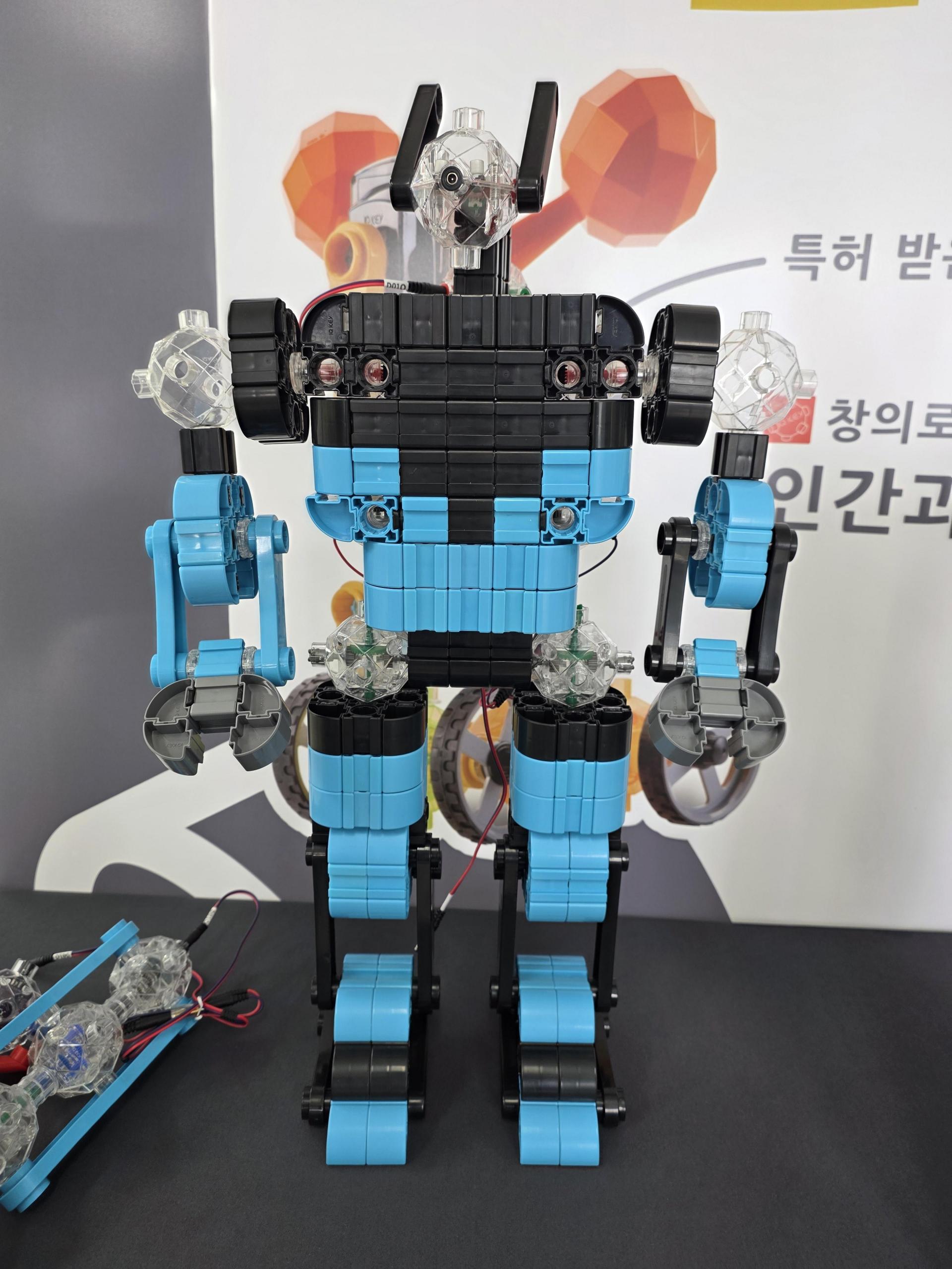 7f223cca72ccc.jpg