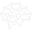 Phenylalanine