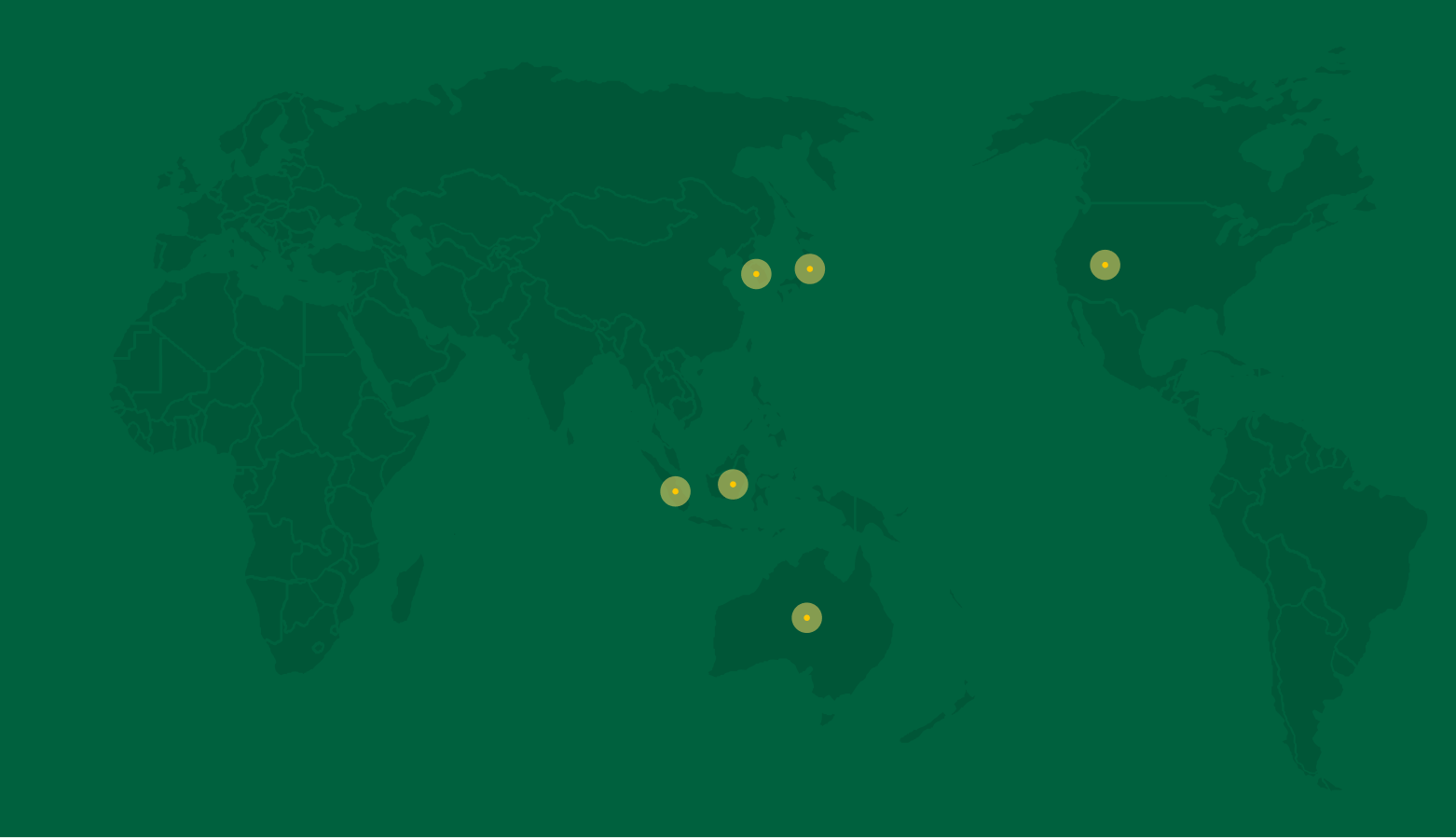 World Map