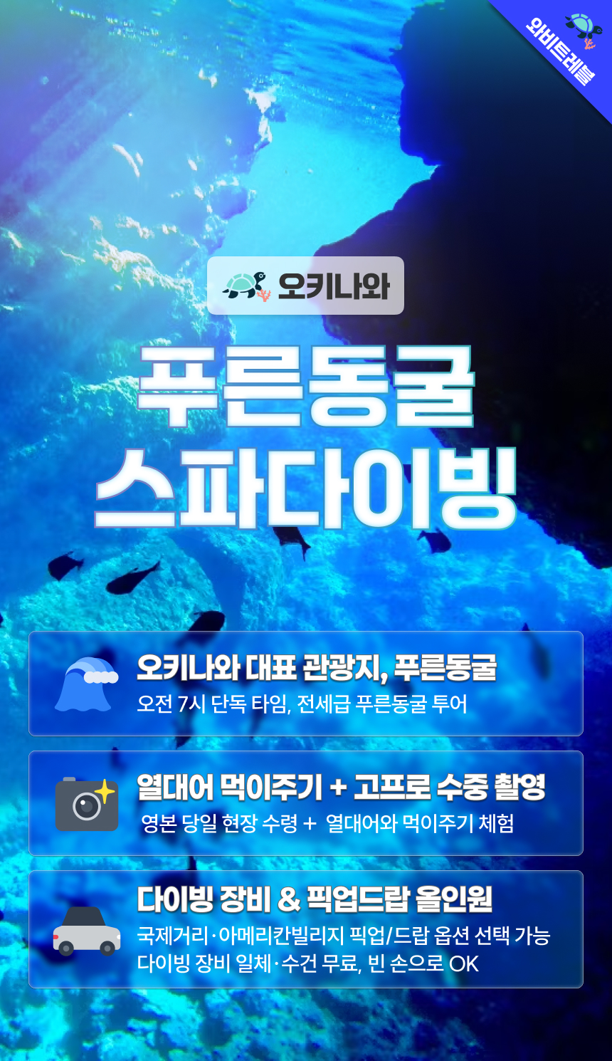 [다이빙 + 사진 + 픽드랍 가능]오키나와 푸른동굴 스쿠버다이빙 투어 자유여행 온천