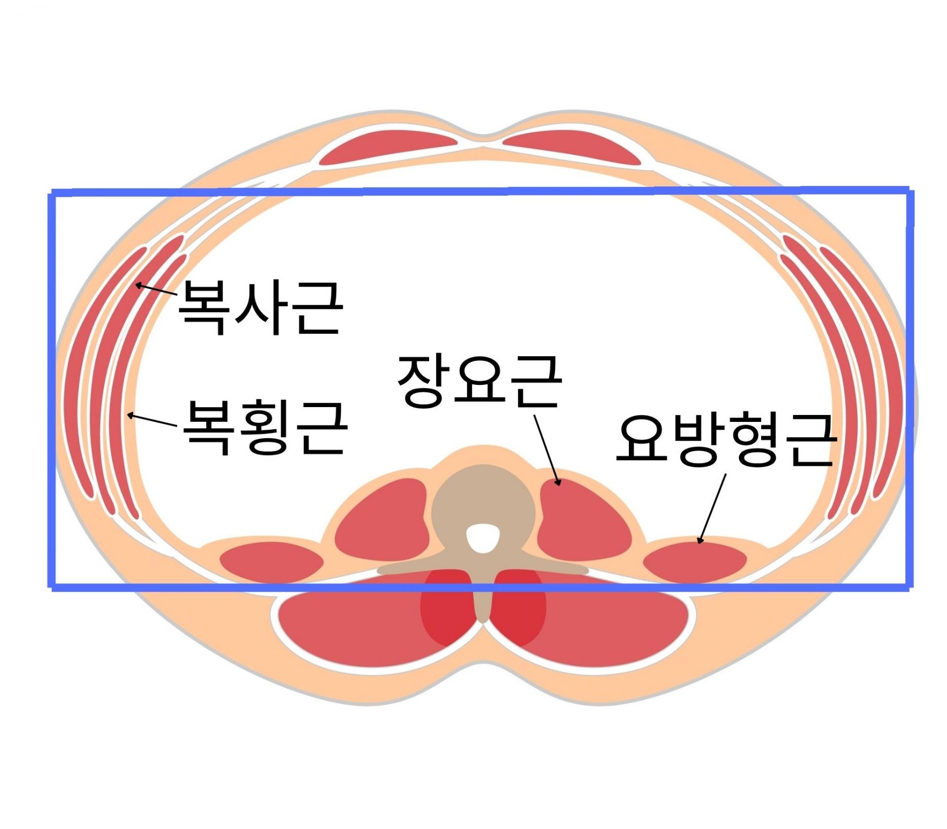 08cc6159b5534.jpg