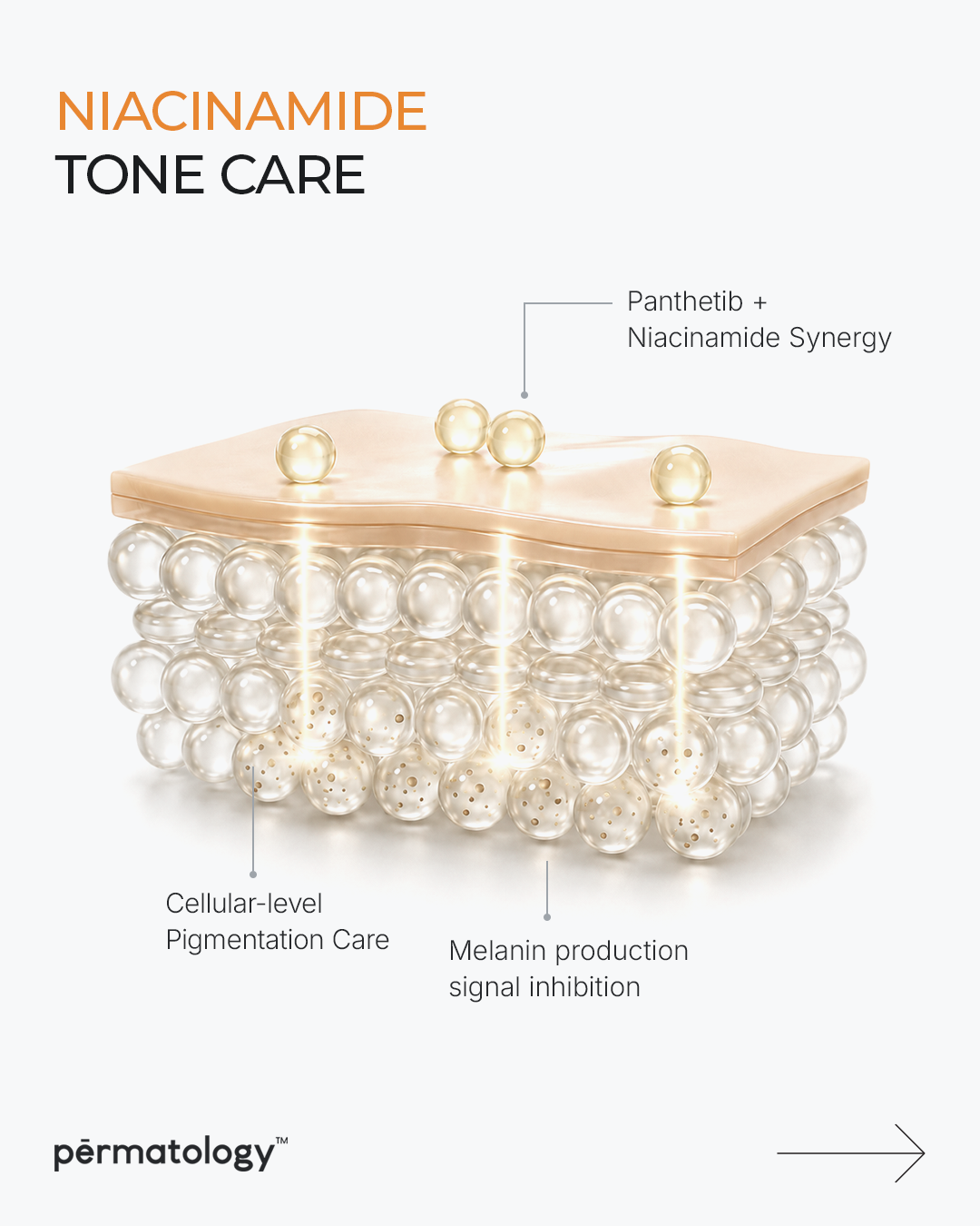 PDRN Core Brightening Ampoule