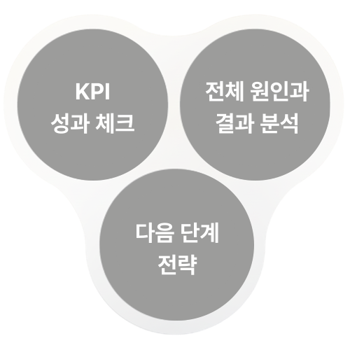 KPI 성과 체크, 전체 원인과 결과 분석, 다음 단계 전략