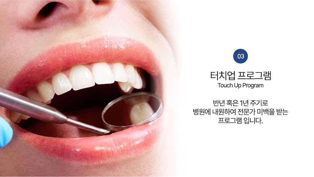 터치업 프로그램