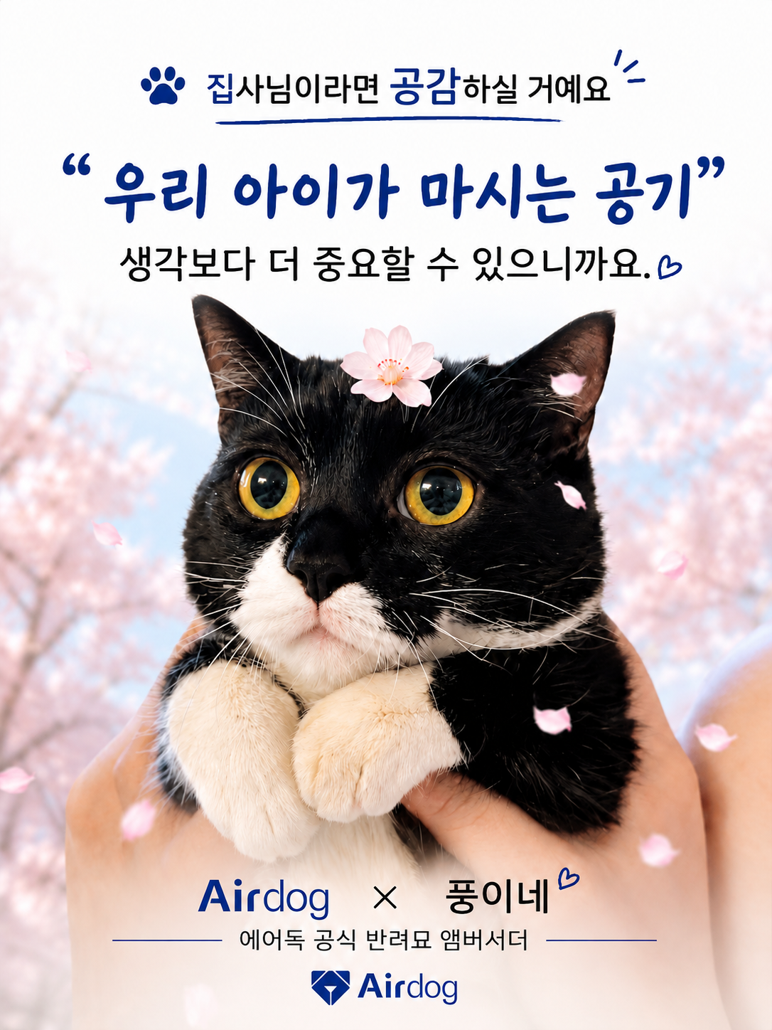 3ed04f55a053c.png