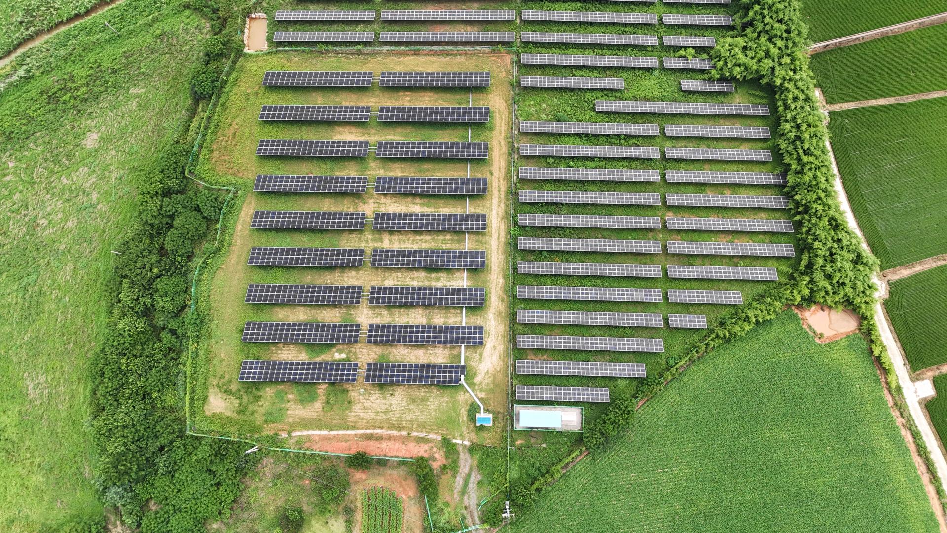 DJI_20250805132408_0329_D.JPG