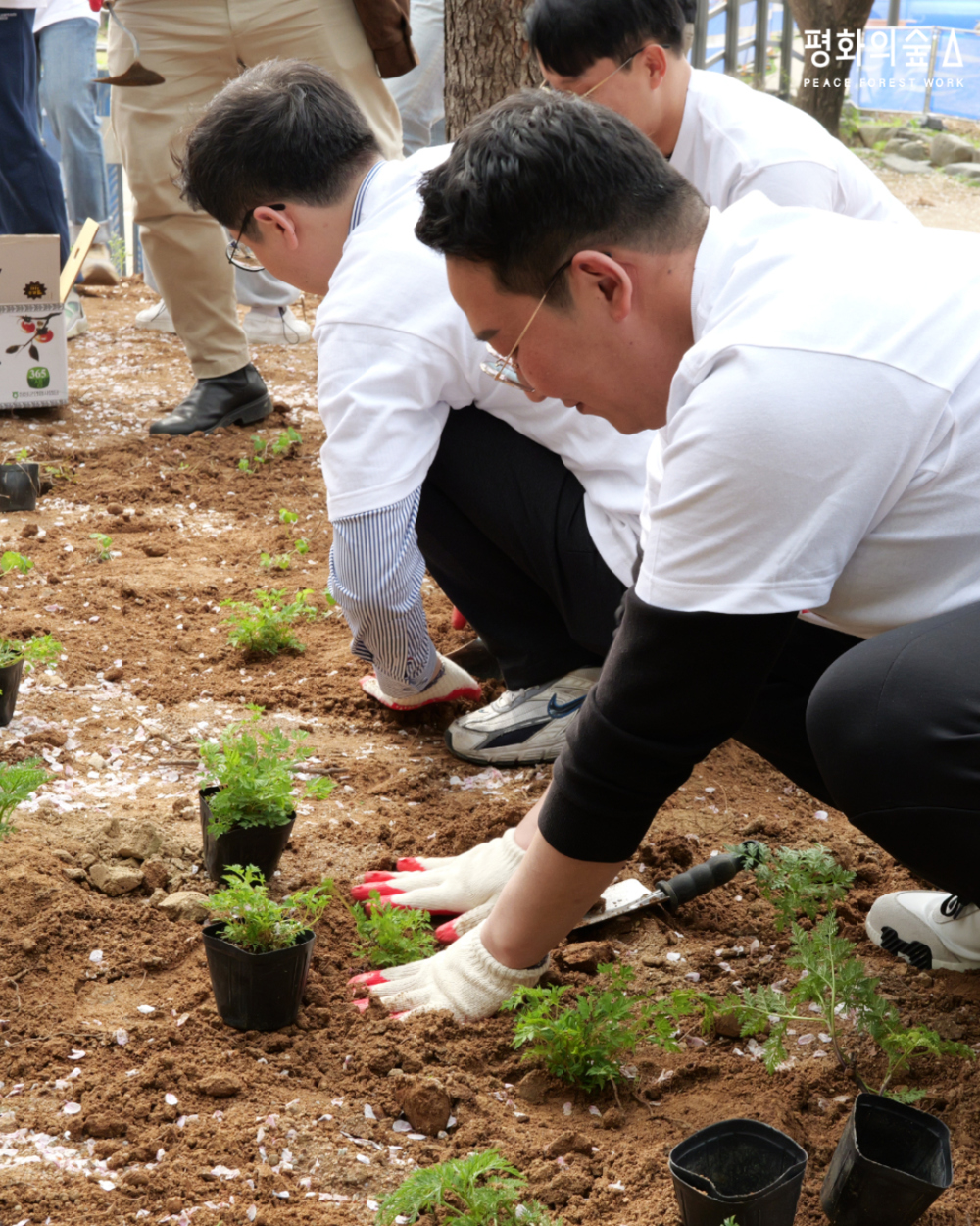 AIA생명 정원 조성 및 보라매공원 환경 정화 봉사활동.jpg