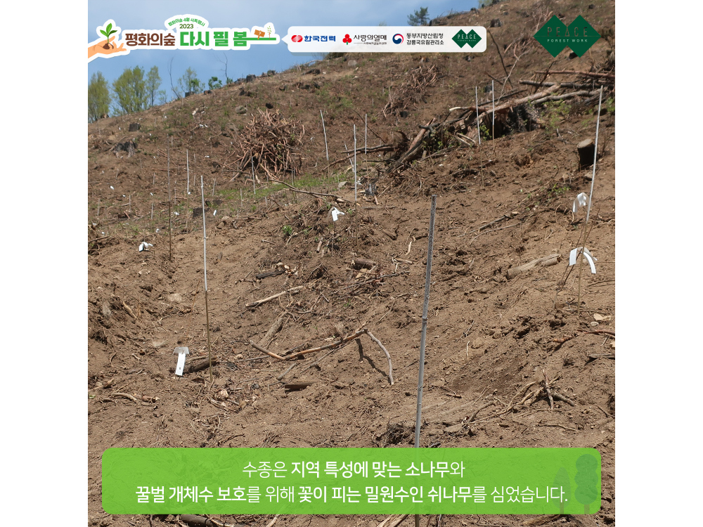 민소매 상품상세 이미지-S1L7