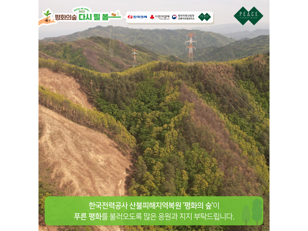 민소매 상품상세 이미지-S1L8