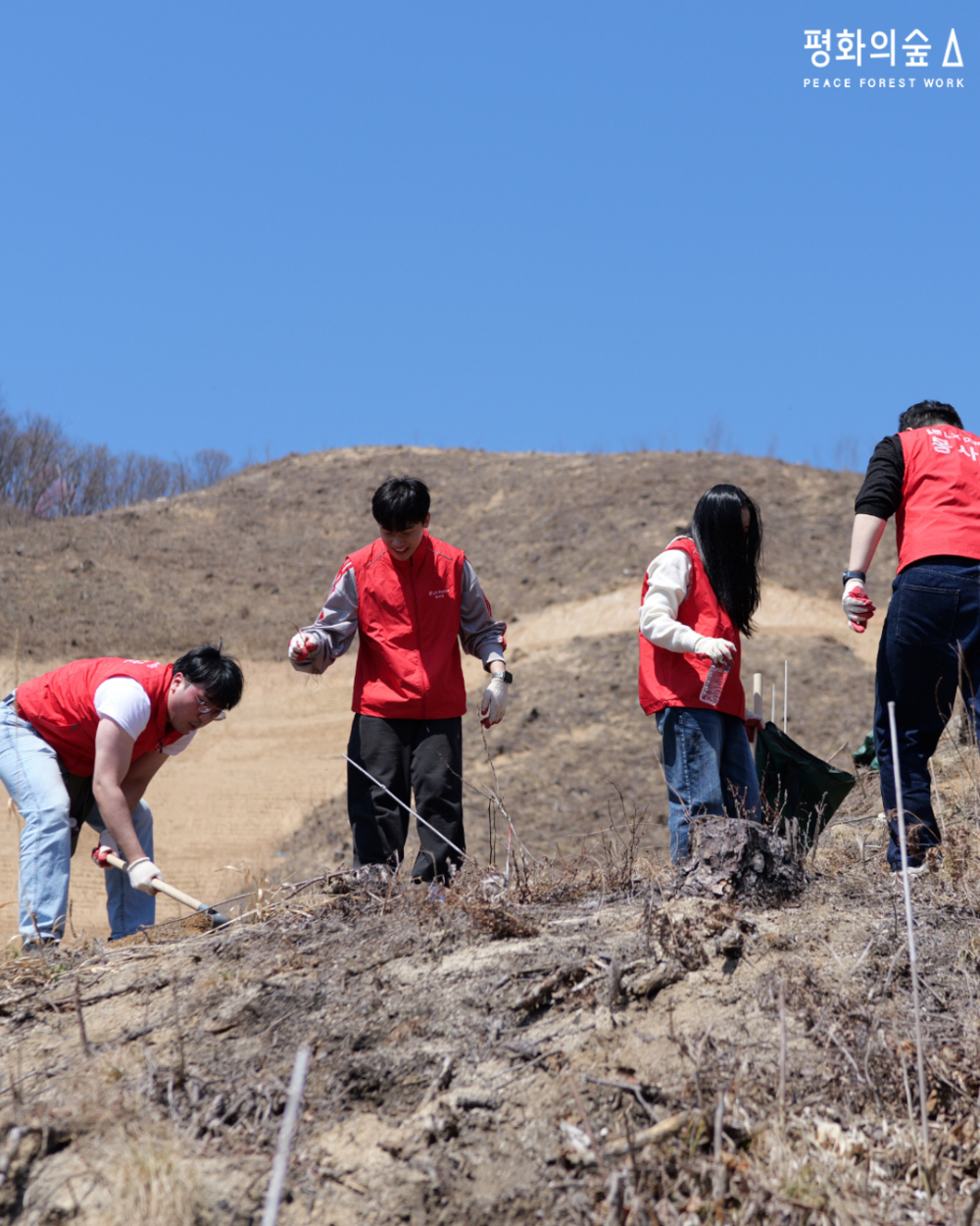LX판토스와 함께하는 재생의 숲 가꾸기.jpg
