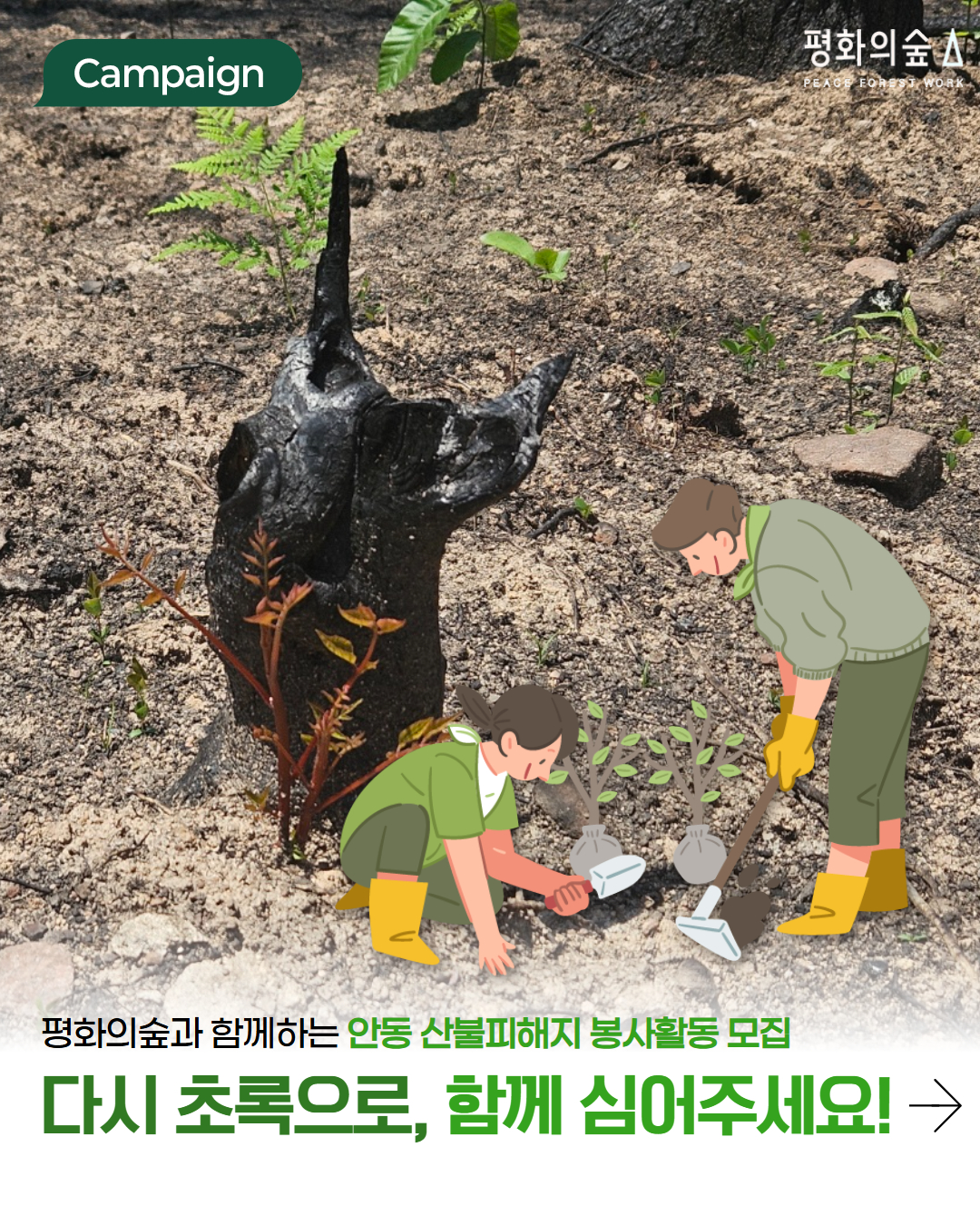 나무심기 1 1.jpg