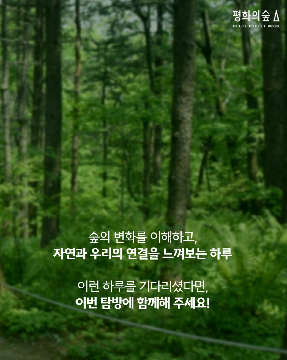 499c333e19330.png