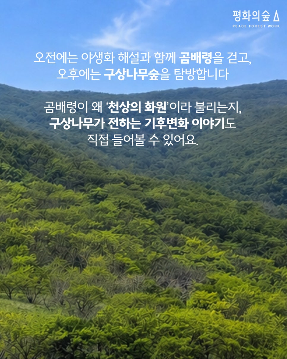 56450694f46a4.png