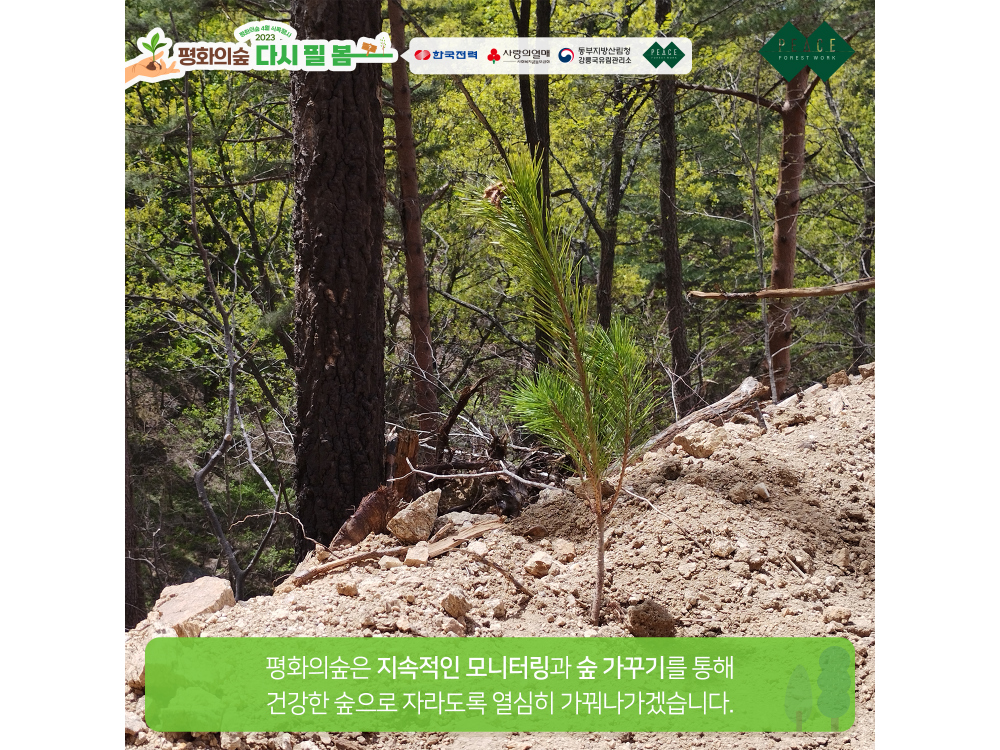 민소매 상품상세 이미지-S1L6