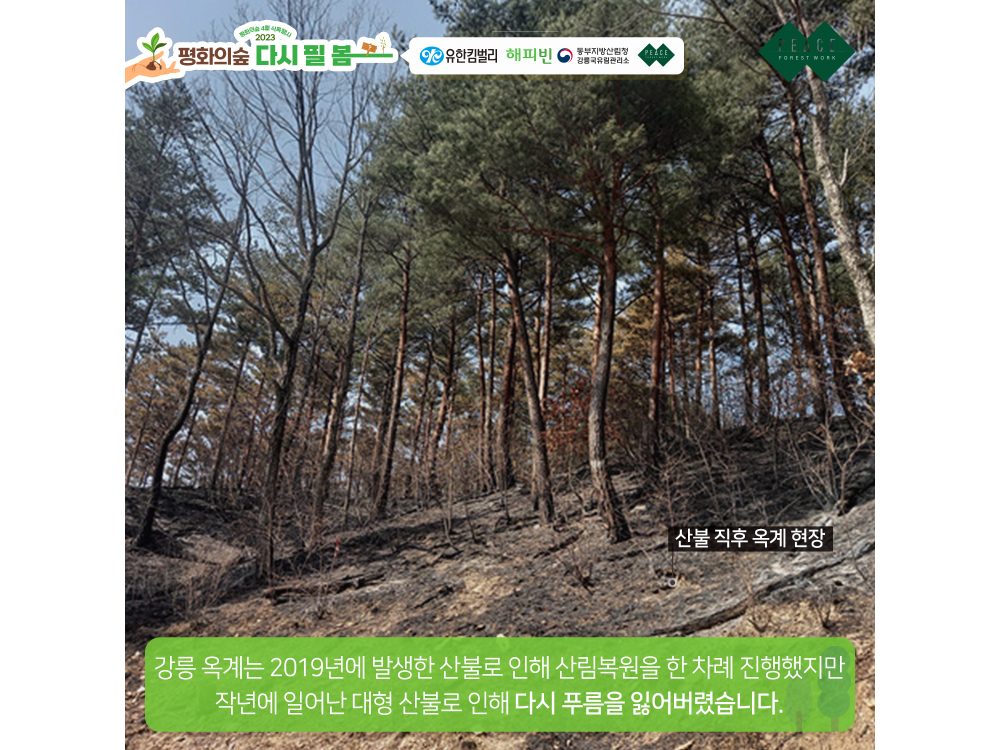 악세사리 상품상세 이미지-S1L6