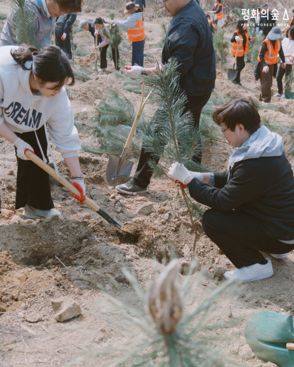 시민과 기업이 함께하는 행복의숲 나무심기 in 시흥 거북섬.jpg