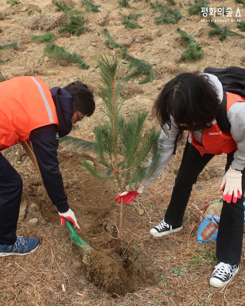 세아제강과 함께하는 시흥 행복의숲 조성.jpg