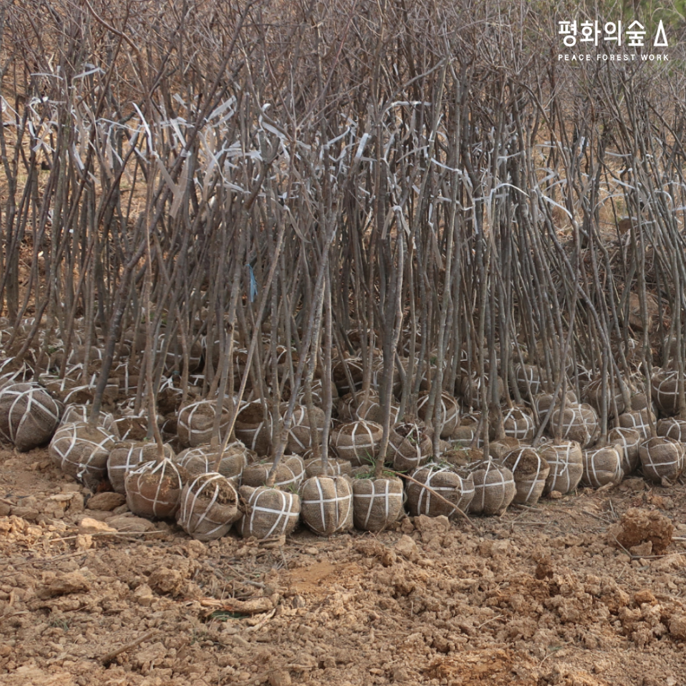 악세사리 상품상세 이미지-S1L5