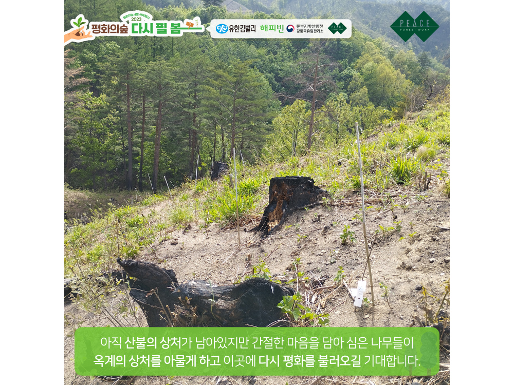 악세사리 상품상세 이미지-S1L11