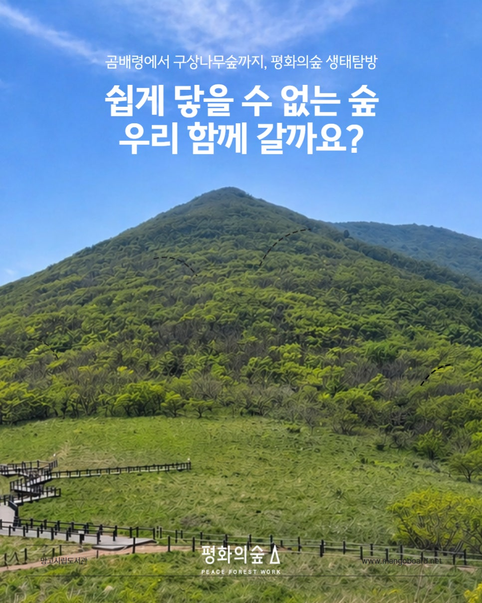 c53150a0d3964.png