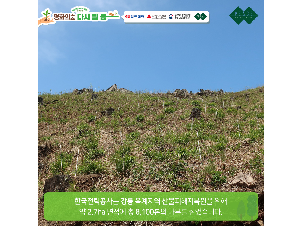 민소매 상품상세 이미지-S1L5