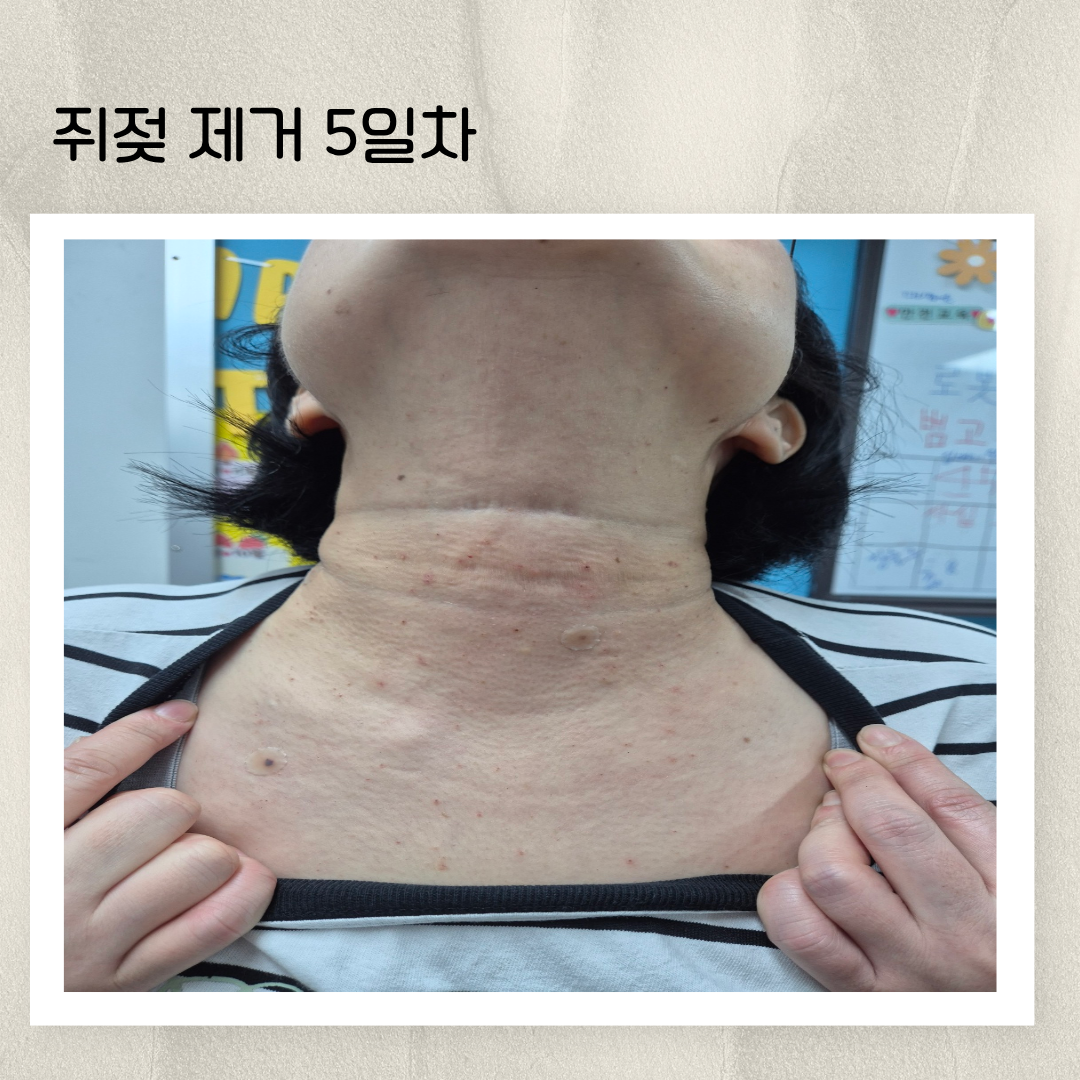 2e6f604babca9.png