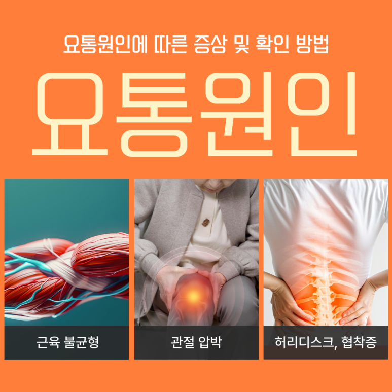 d3cdef7337049.png