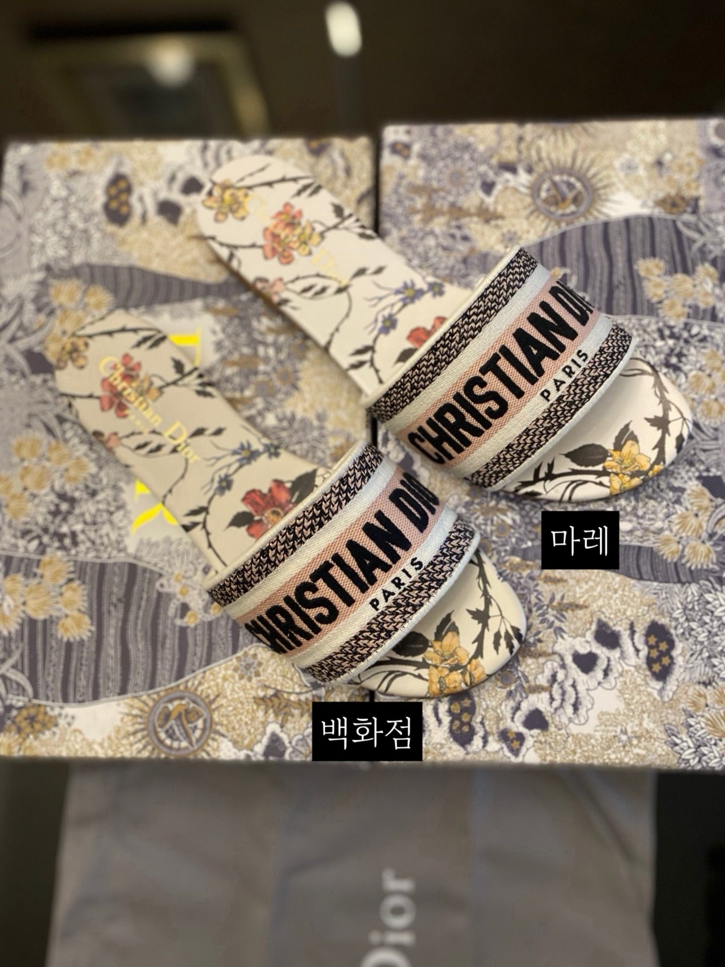 1:1 비교 사진