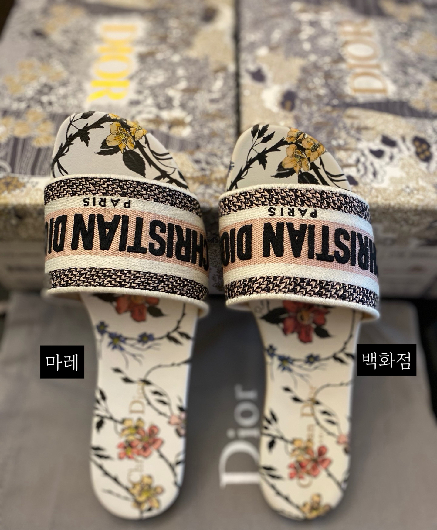 1:1 비교 사진