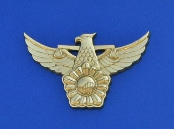 5ab4f2a53d2de.jpg